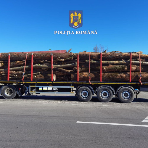 ontroluri anticorupție în județul Brașov asupra firmelor din domeniul lemnului