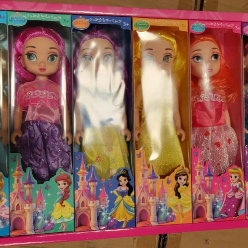 Control la granicile țării asupra unui container cu produse suspecte