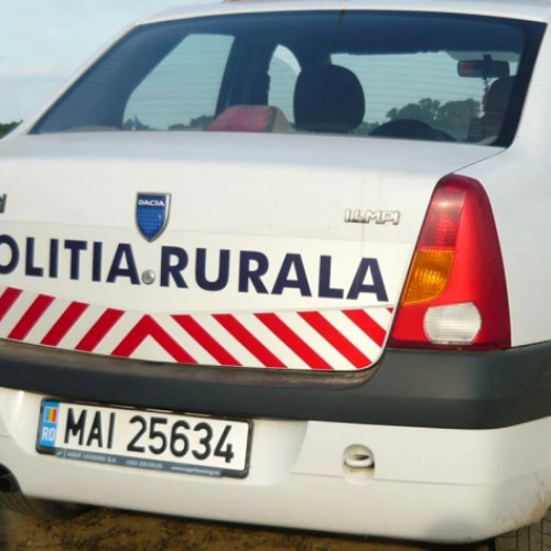 infobrazii despre un sofer cu permis suspendat si sub influenta alcoolului la Ghidigeni