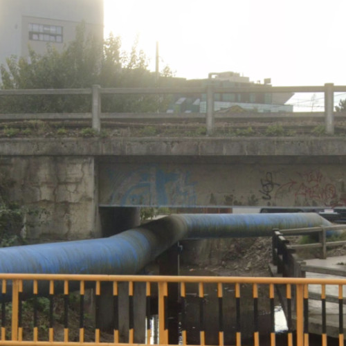 Poluare gravă pe malul Canalului Morii din Cluj, semnalată de localnici