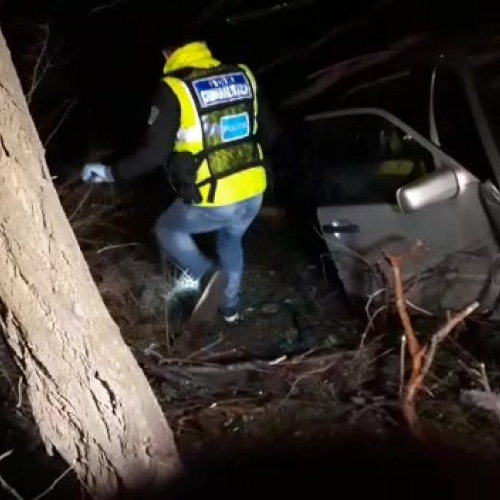 Bărbat fără permis, urmărit de poliție, a lovit un copac în Dolhesti