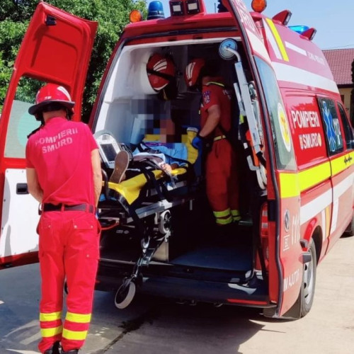 Incendiu de vegetație aproape lichidat în satul Caiata