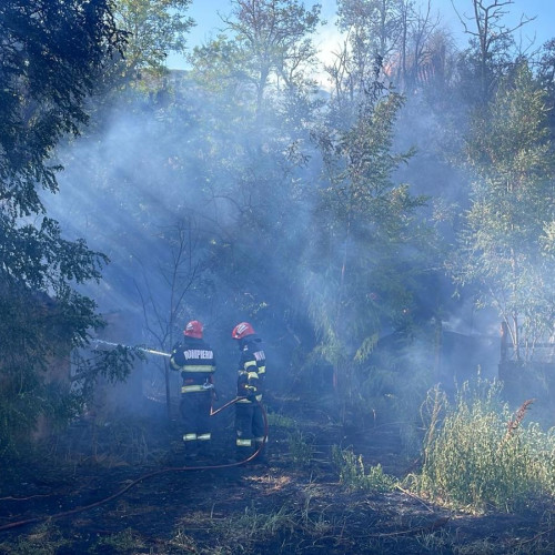 Incendiul din Delta Dunării, zona Sireasa, a fost lichidat cu succes