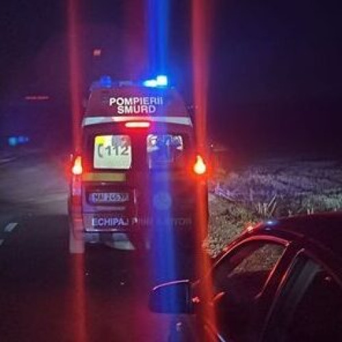 Pompieri din Tulcea caută o persoană dispărută pe Dunăre