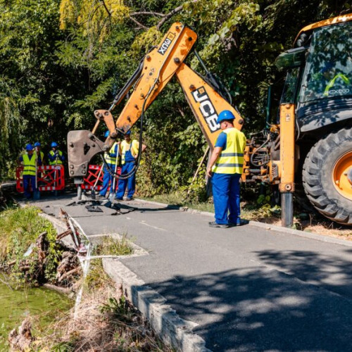 Lucrări de reabilitare în Parcul Herăstrău din București