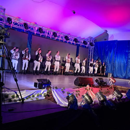 tinerii din ansamblul folcloric "Nedeia" din Novaci, reprezentând județul Gorj, vor participa la două evenimente culturale în Hunedoara