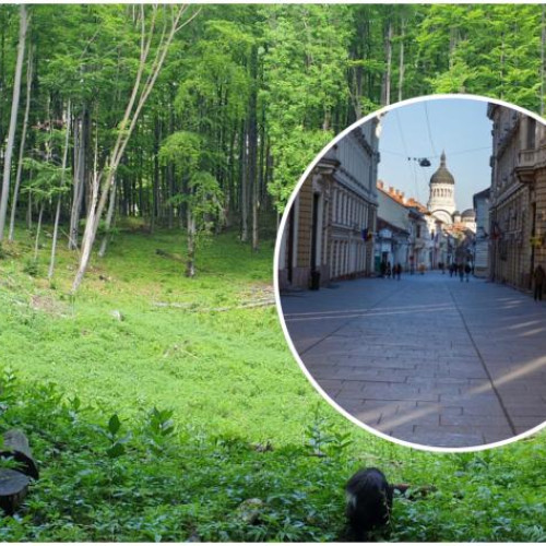 Adrian Dohotaru propune extinderea zonelor naturale protejate în zona metropolitană a Clujului