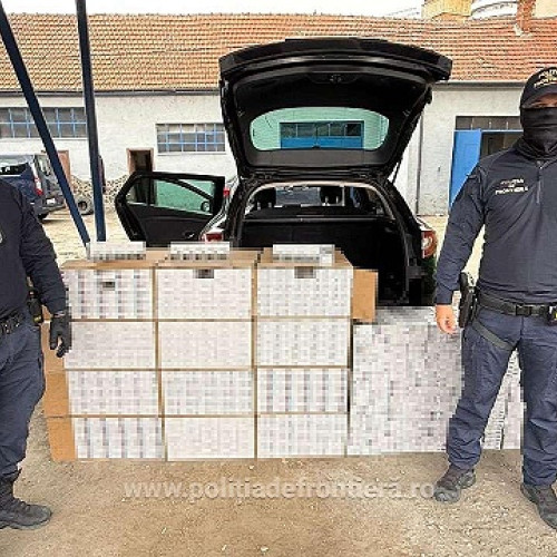 Poliția de frontieră din Satu Mare a descoperit o cantitate mare de țigări de contrabandă