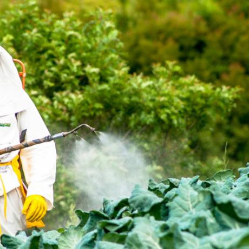 Dezbatere publică despre revizuirea planului național pentru reducerea riscurilor legate de substanțele folosite în agricultură