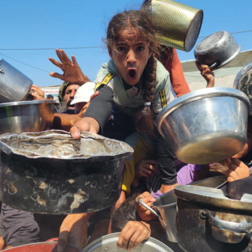 Hands of Gaza şi zonele din apropiere în fața foametei: un semnal de alarmă internațională