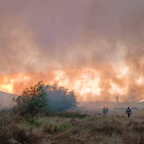 Incendiu de vegetație în Mahmudia, județul Tulcea
