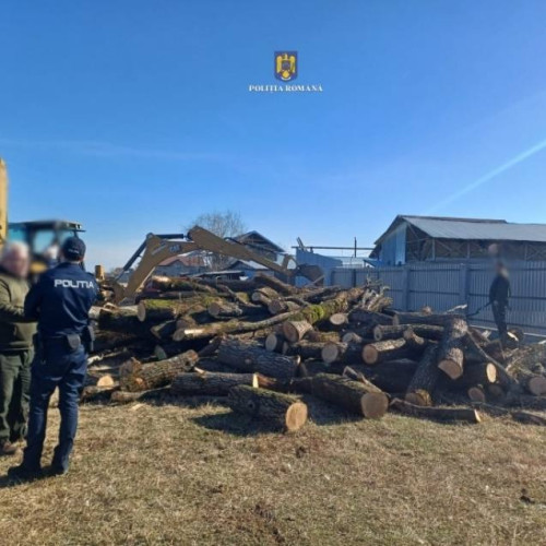 Tranzacționare ilegală de arbori în Dâmbovița: Dosar penal deschis de poliție pentru furt și defrișare ilegală.