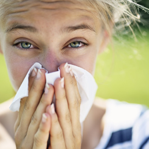 sezonul alergiilor la ambrozie, un pericol pentru români