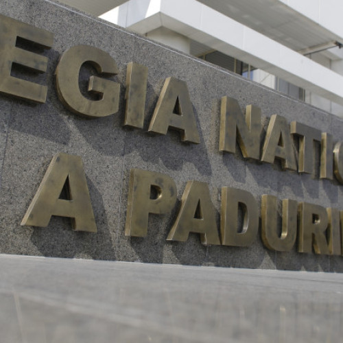 Dezbatere publică pentru alegerea directorului interimar al Romsilva