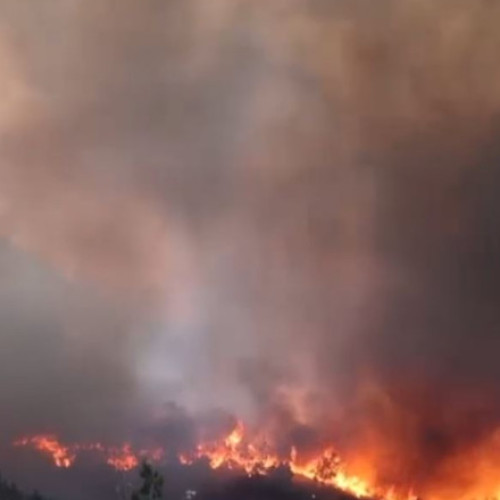 Număr mare de piromani, arestați în Grecia pentru incendii de vegetație