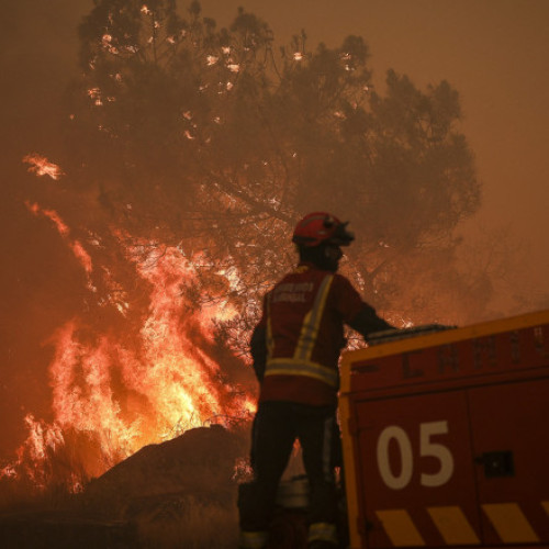 Un pompier din Portugalia a murit după ce a fost grav rănit în timpul intervenției pentru stingerea unui incendiu de pădure