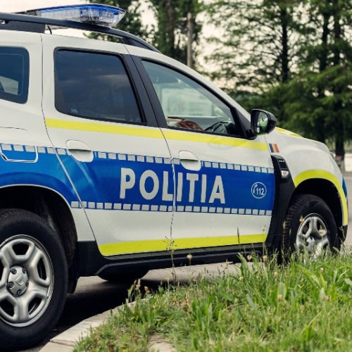 Braconaj cinegetic în zona Aiud: doi lupi uciși și dosar penal