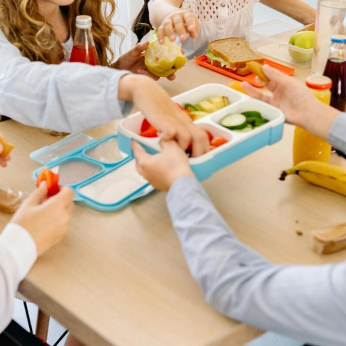 firma din beclean câștigă contractul pentru livrarea pachetelor alimentare în programul „măsă sanatoasă” 2025