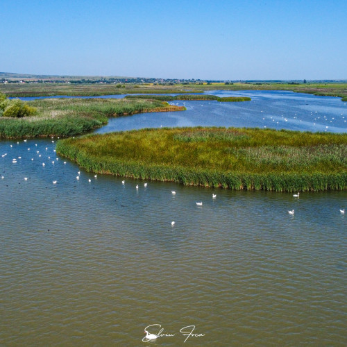 lacul de acumulare bucecea: o oază de liniște și frumusețe în județul botoșani