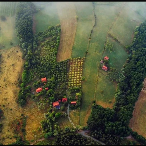 Valea laptelui și a mierii: un tărâm secret al Moldovei