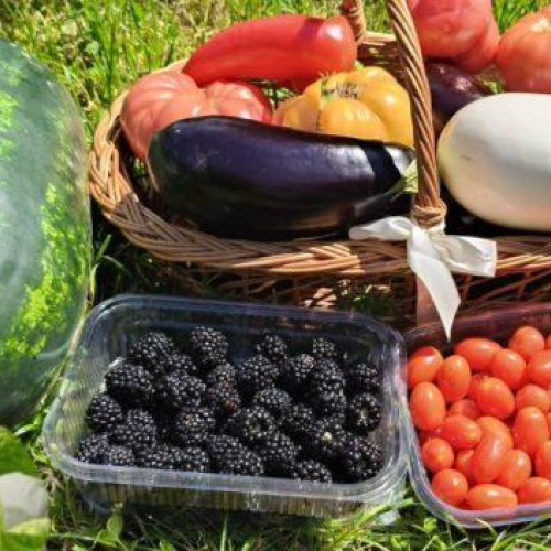 familie din satul Roșiori folosește metode naturale pentru cultivarea legumelor