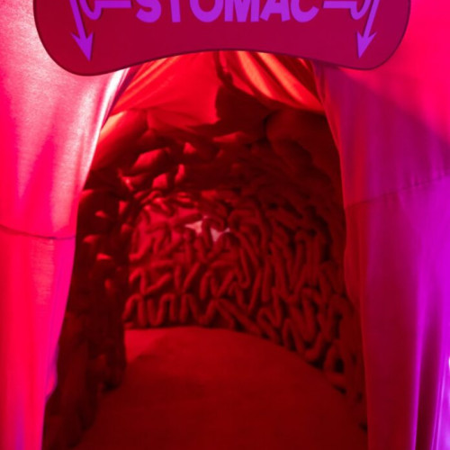 expoziții interactive la muzeul copiilor din București