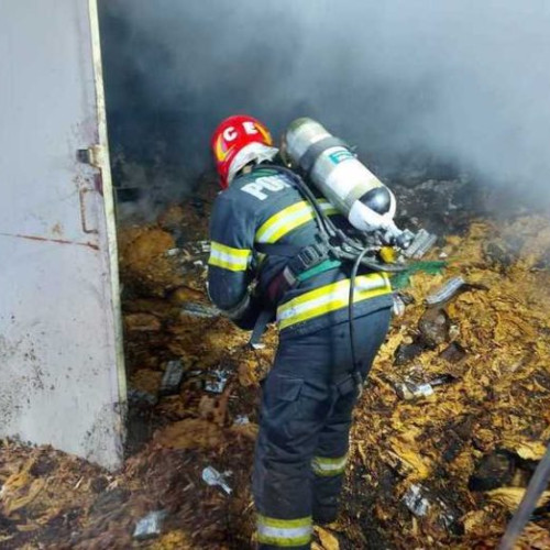 Incendiu major în Buftea, Ilfov