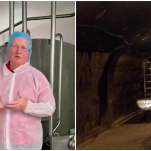 deputatul clujean remus lapusan descoperă un sortiment de brânzeturi unic în lume