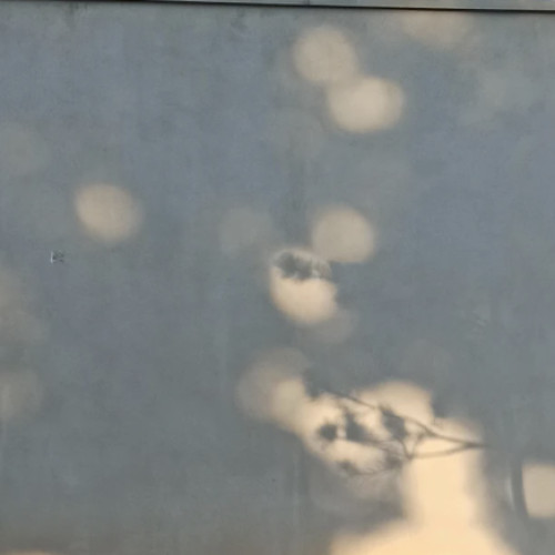 Grafiti cu mesaje despre droguri și semne de circulație distruse în parcul Feroviarilor și pe Podul Răsăritului în Cluj-Napoca