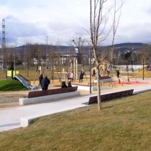 Fenomen îngrijorător în parcul feroviarilor din Cluj