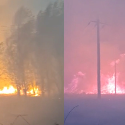 Incendiu de vegetație în Delta Dunării, între Murighiol și Mahmudia