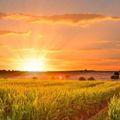 Vremea se încălzește în Muntenia, inclusiv în Dâmbovița, în următoarele două săptămâni