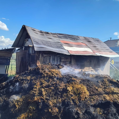 Incendiu în Merghindeal: animale pierdute și pagube materiale importante