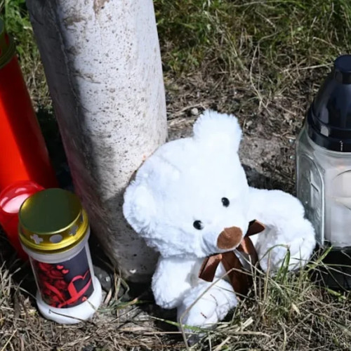 Tragedie în Germania: un român și-a ucis logodnica și și-a pierdut viața împreună cu fiul său