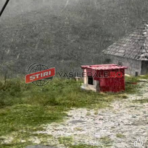 Ninsoare neașteptată pe muntele Pietrosul Rodnei în plină vară