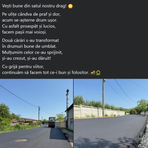 Comunitatea din Plopsoru celebrează asfaltarea ulițelor printr-o poezie pe Facebook