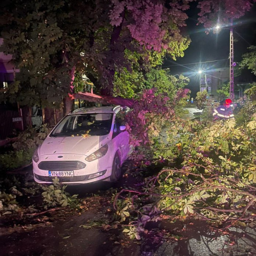 Pompierii din Vrancea au intervenit după fenomenele meteo periculoase din noaptea trecută