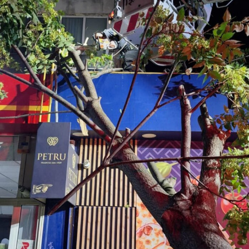 Furtuna puternică a provocat multiple intervenții ale pompierilor din Vrancea