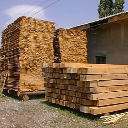 Poliția din Neamț a aplicat amenzi de 18.000 de lei în urma unor controale asupra gateristilor