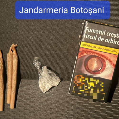doi tineri din Botoșani opțiune pentru consum ilicit de droguri la zilele comunei Dersca
