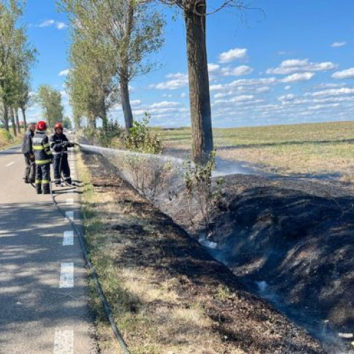 incendiu de vegetație uscata pe drumul județean 282B între Flamanzi și Prajeni