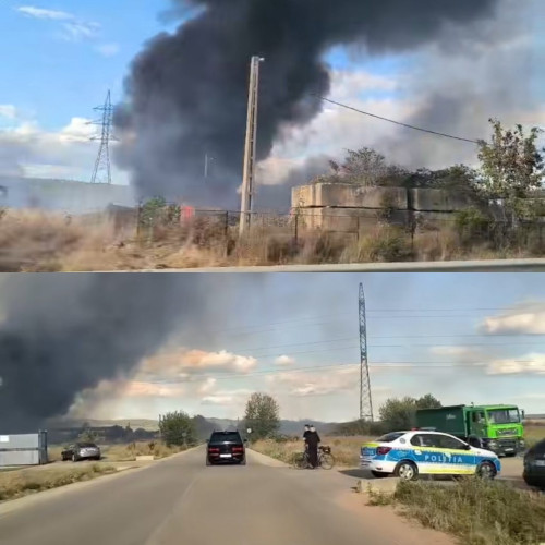 Incendiu de vegetație în apropierea orașului Rovinari