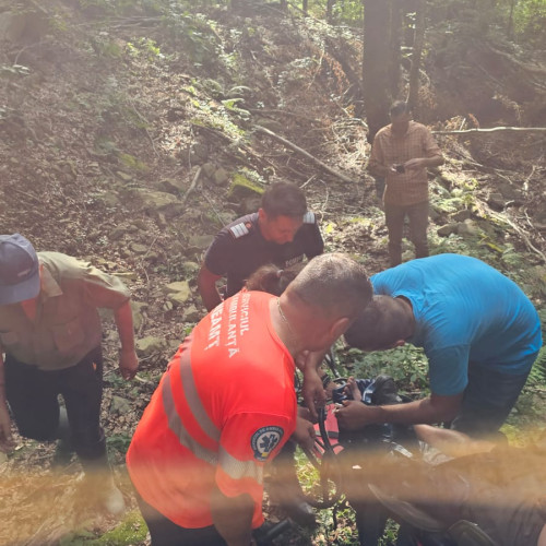 Trei intervenții de salvare în Neamț în două zile