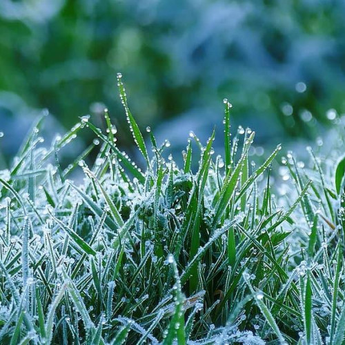 temperaturi foarte scăzute în România, județul Dâmbovița nu a fost ocolit