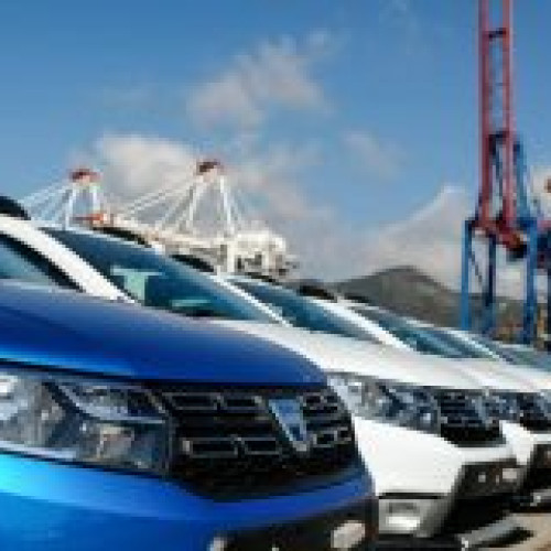 două lebede salvate de polițiștii din ilfov după ce au fost capturate ilegal