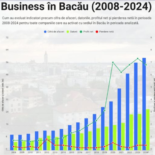 Creșterea economică a firmelor din județul Bacau în ultimii 17 ani
