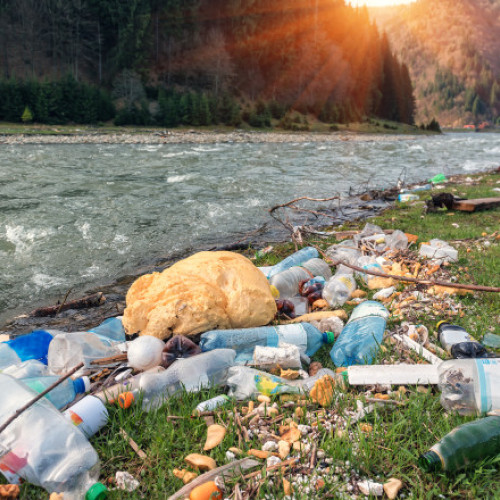 Gunoaiele ilegale, o realitate gravă în România, deși statisticile oficiale sugerează altceva