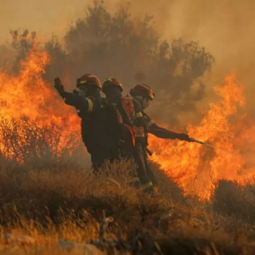 Numărul intervențiilor de urgență înregistrate luni la nivel național a ajuns aproape la 1.700, conform datelor furnizate de Inspectoratul General pentru Situații de Urgență. Cele mai multe misiuni au avut loc în zona București - Ilfov, urmate de județele Cluj, Prahova, Mureș și Dolj.