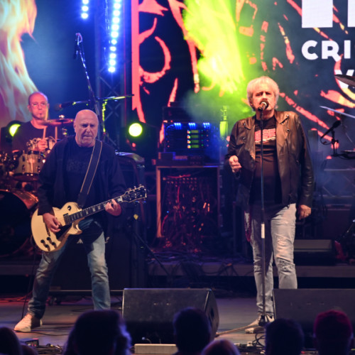 Fanii trupei Iris au fost încântați să o vadă din nou pe scenă la Danube Rock Revolution 2025