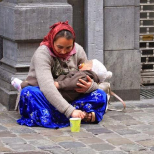 probleme legate de cersetorie în Cluj: nemulțumiri crescute în rândul localnicilor